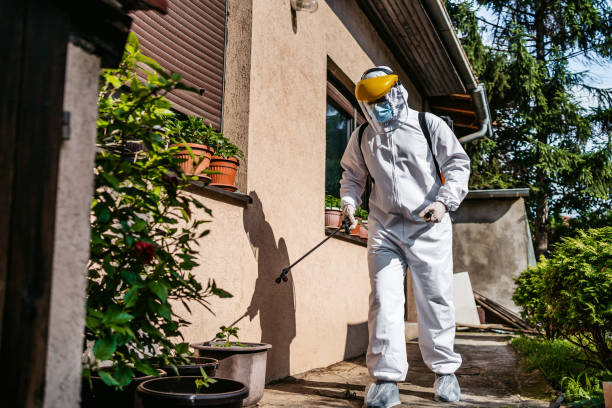 Best Best Pest Control Companies  in Vero Beach South, FL