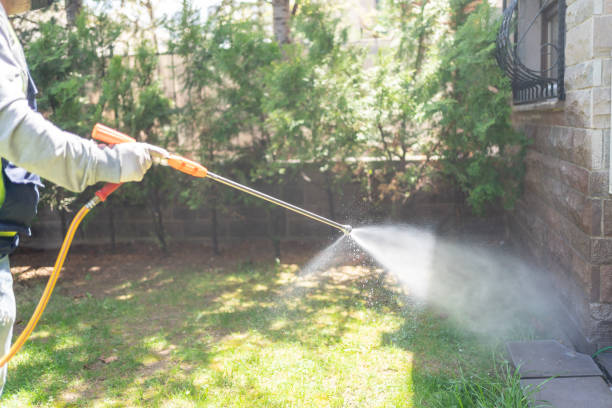 Best Flea Control Services  in Vero Beach South, FL