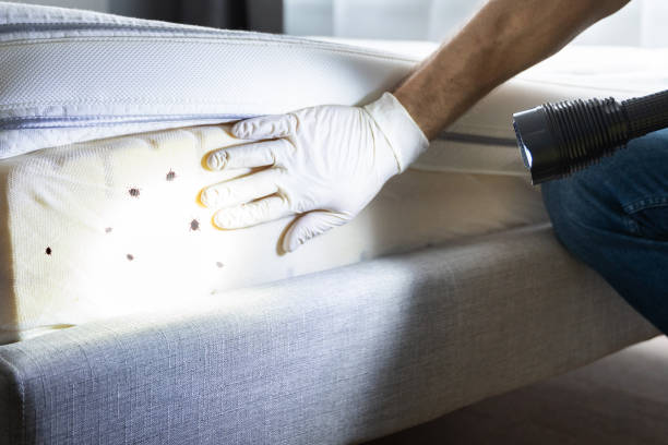 Best Pest Inspection Near Me  in Vero Beach South, FL