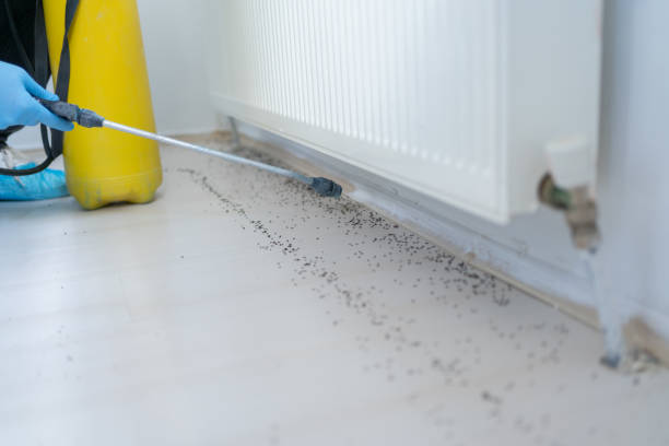 Best Residential Pest Control  in Vero Beach South, FL